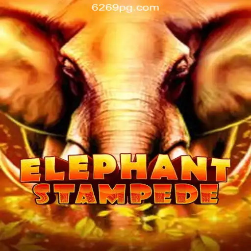 Discover the Excitement of ElephantStampede on 6292.com Platform: Online Slots Brasil #1